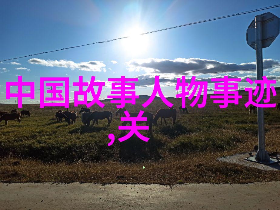在社会的纷扰中那稍纵即逝的情感平台二