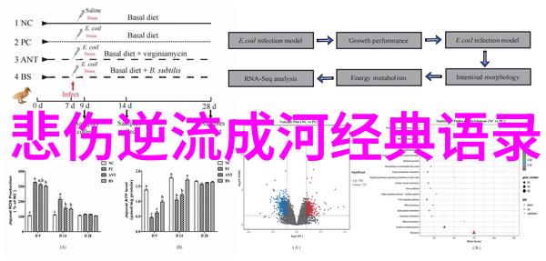 中国成功女性100名 - 卓越之旅中国最具影响力女性的故事