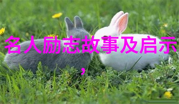 中外名人励志故事我是如何从一个普通的程序员变成一位成功的科技创业者