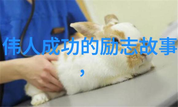 海外梦想中国人励志征程