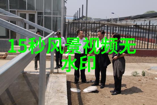 中国伟大贡献的人物逆袭的英雄