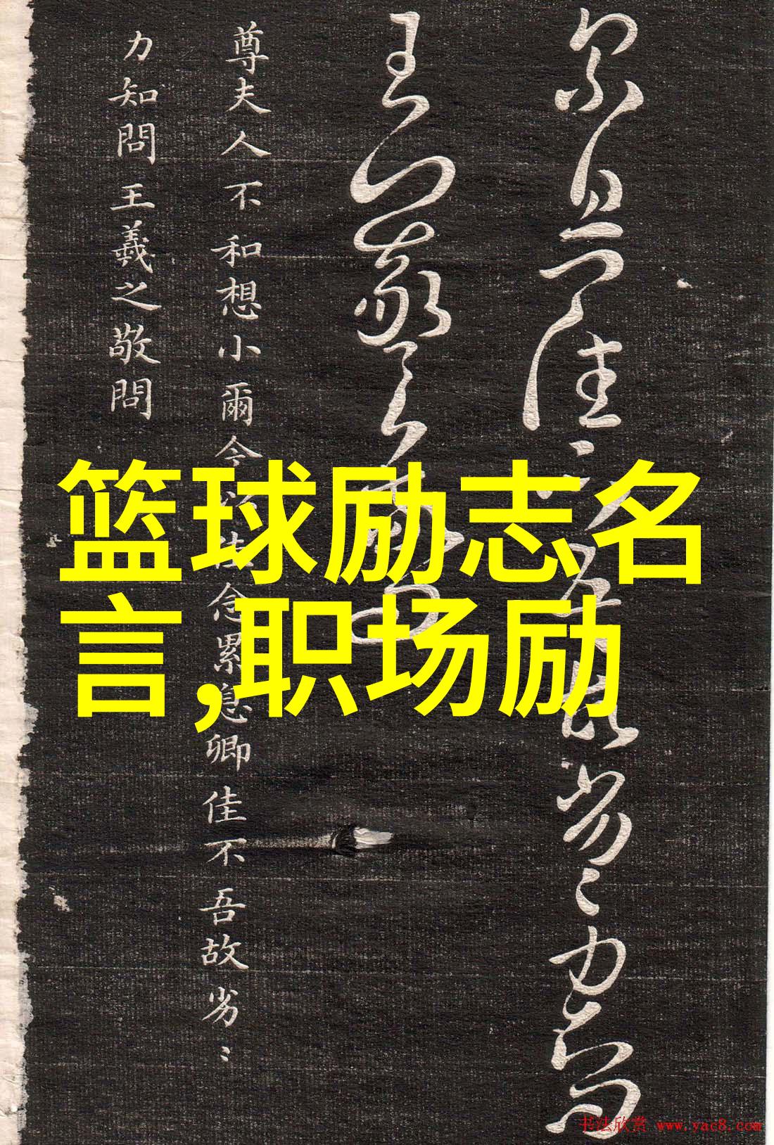 婆媳和谐相处的智慧自然之美与战国时代电视剧全集