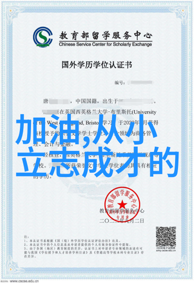 解读小时代中的文化符号与时代脉络语录分析在当代社会学研究中的应用