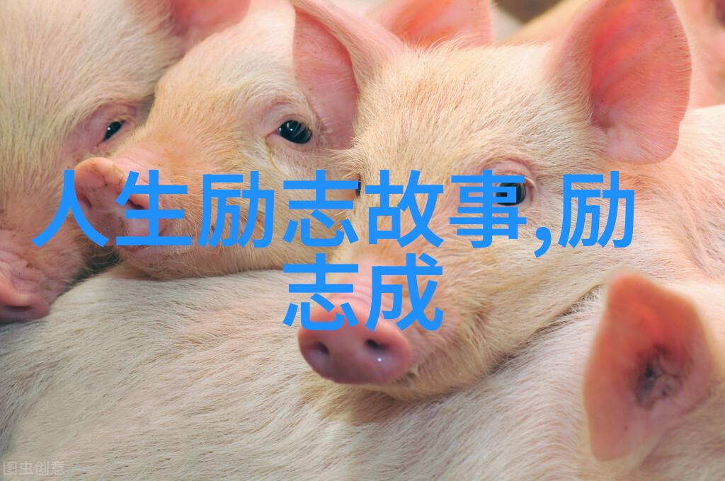 1. 徐梦桃的逆袭之路又是怎样的