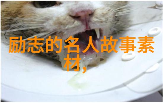 短视频素材大放送让你的创意在秒拍中飞翔