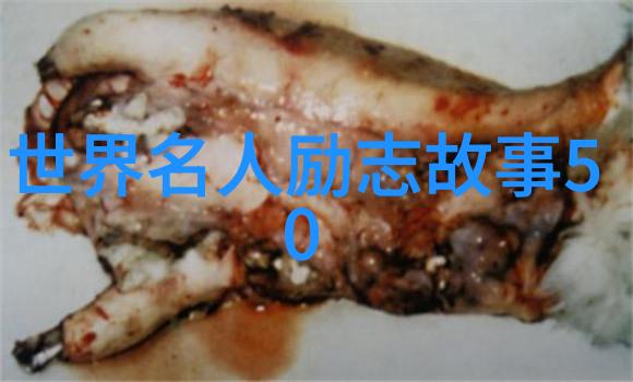 经典语录-李斯特弗兰克尔鼓足勇气面对生活的每一个挑战