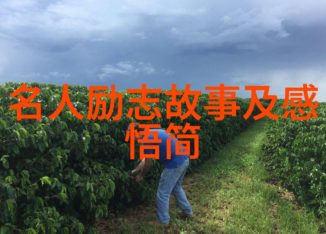 一切从开始15秒的人生回顾