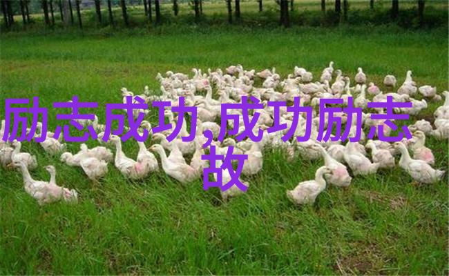 从草根到首富华为创始人任正非的逆袭故事
