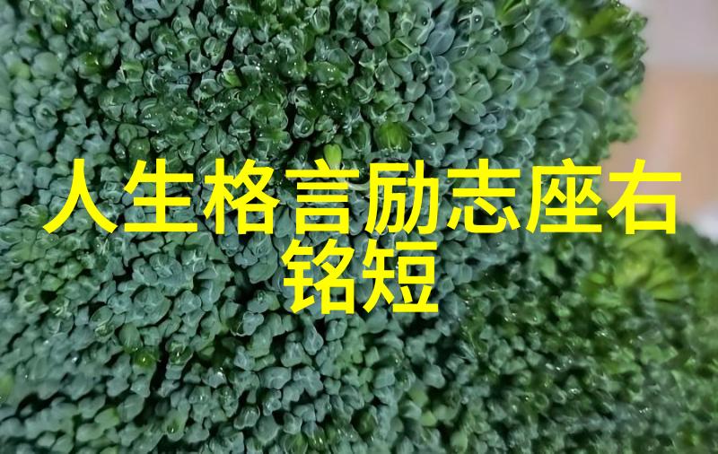 在张爱玲的一生中她最擅长表达的是什么情感并且用什么方式来表达呢