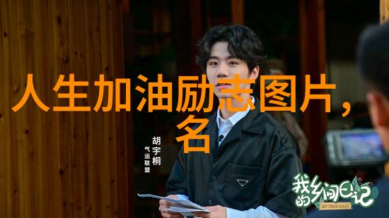史泰龙逆袭传拳击王者与梦想的拼搏