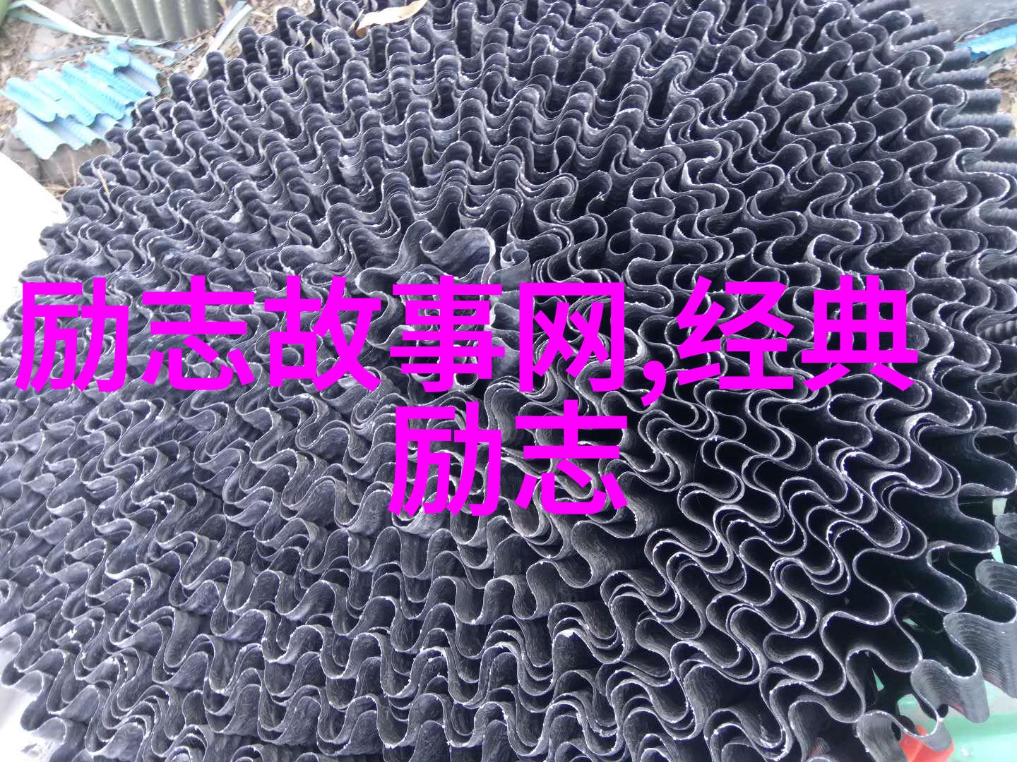 逆袭的灯塔李雷的成功之旅
