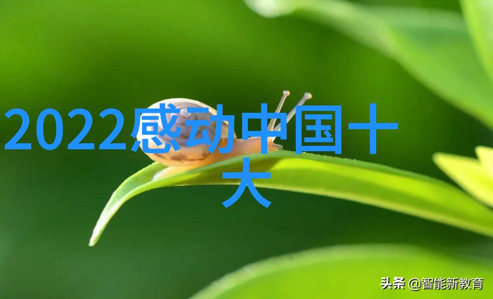闪耀榜样偶像正能量的光辉篇章