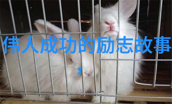 追星路上的辉煌那些为了偶像而努力的名人故事