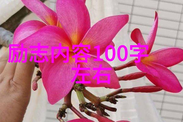 海上钢琴师的回音