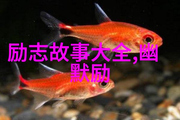 超甜浪漫高级情话好聚好散分手后的祝福语温馨告别的诗篇