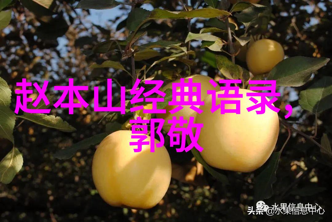 心灵的重生一段不朽的旅程