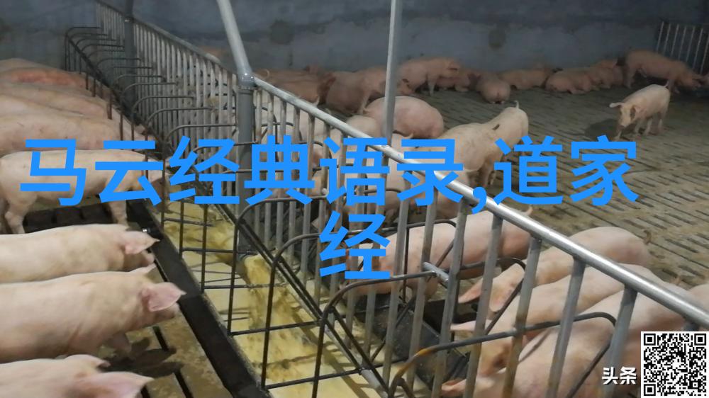 青春正当时梦想永无尽头展现2022年优秀青年人的风采