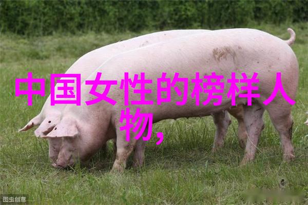 探索贺炜智慧的深渊引领时代风潮的经典语录