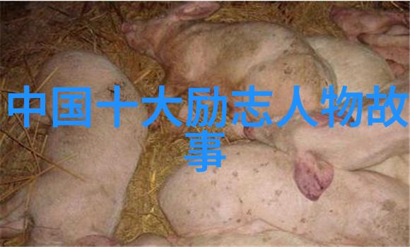 篮球励志名言跳出边界创造奇迹