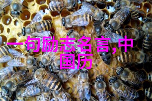 2019年感动中国的英雄们他们的故事将永远激励我们前行