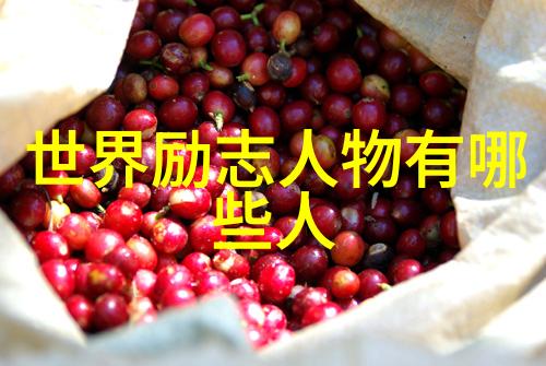 巧克力梦幻游探索巧克力开心乐园官方网站的甜蜜奇遇