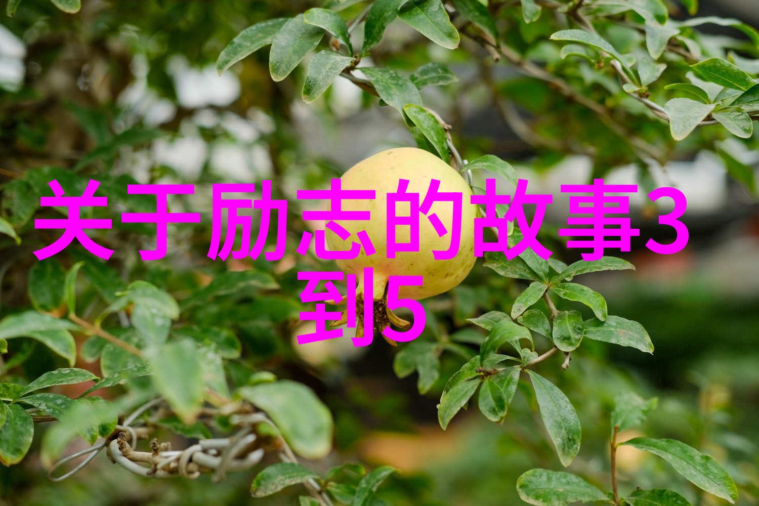 2022中国十大新青年人物我眼中的闪耀希望他们的故事你想听吗