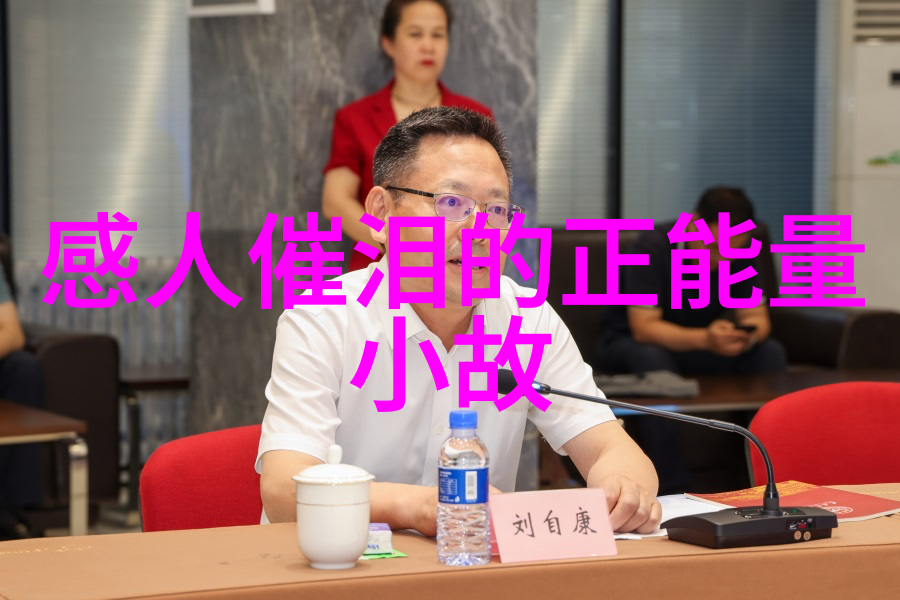 励志-李稻葵坚韧不拔的成功之旅