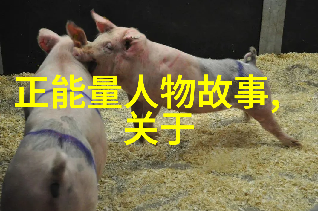 跨文化奇缘李雷与艾米丽的双生梦