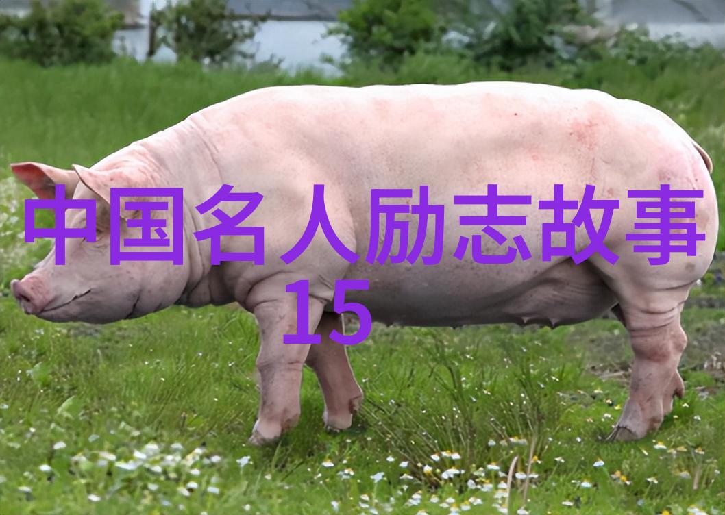 微信心语经典语录温暖心灵的文字智慧