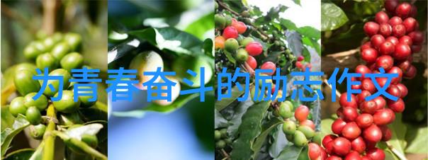向着光明前行50句引领生活方向的人生智慧语录