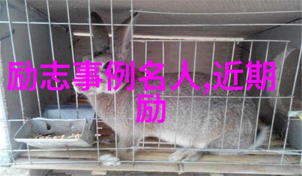 肉肉床文的详细过程揭秘爱情的温暖篇章