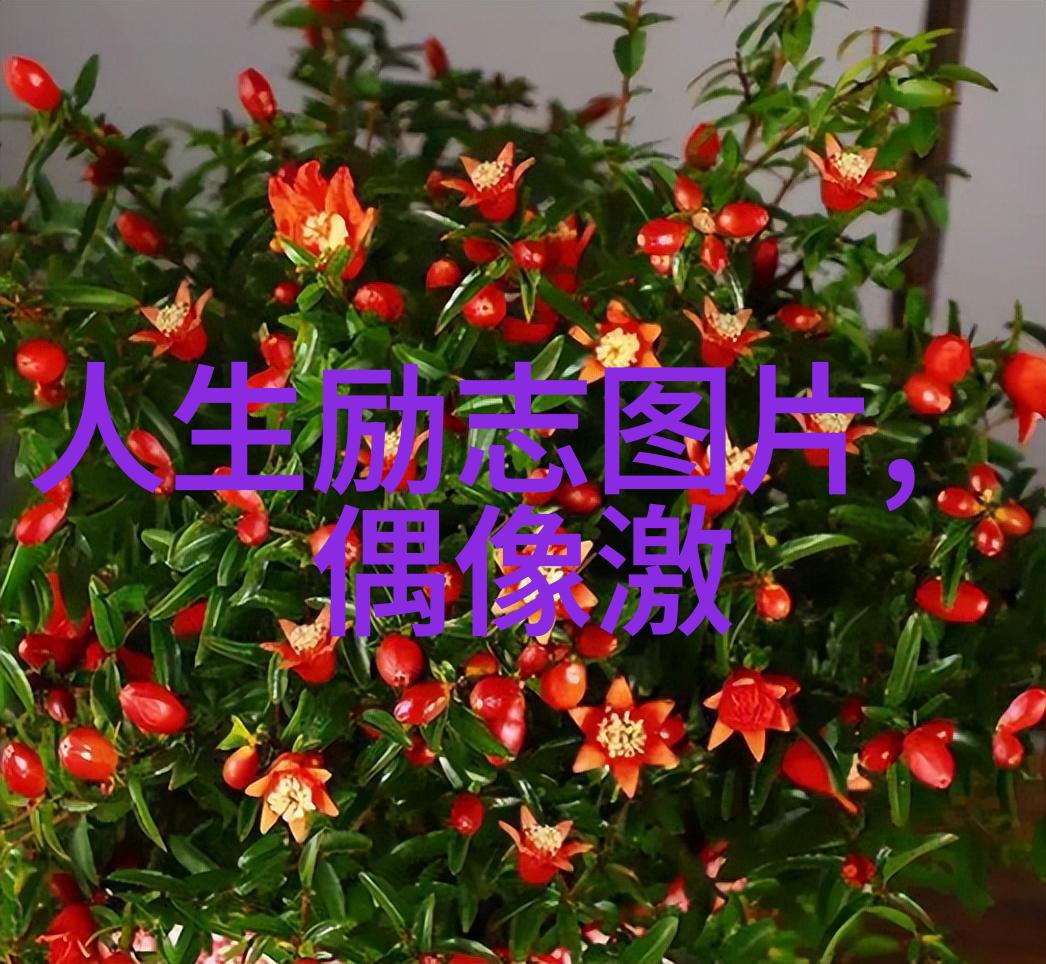 经典再现如何理解和欣赏郭敬明作品中的文学符号
