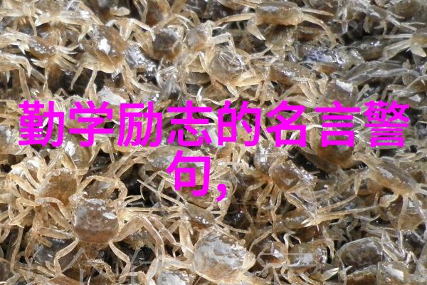 马云的激情是最好的推动力这句话意味着什么