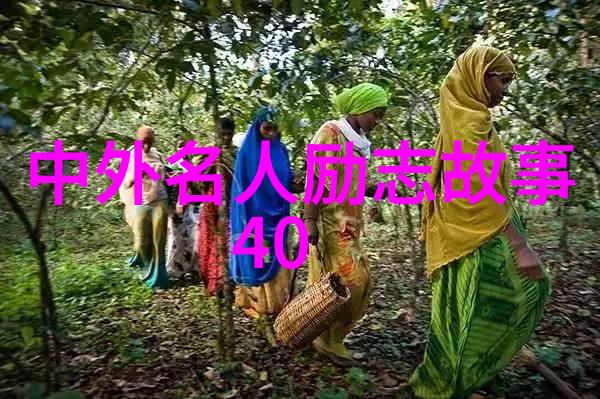 激励人心的智慧挖掘励志名言中的成功秘诀