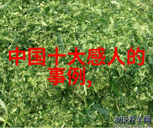 汽车界土味情话宝你系好安全带了吗