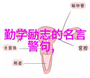 中国感动十大人物故事中国最受尊敬的十位英雄