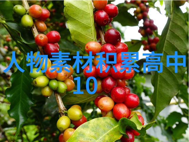 中国伟人的励志故事中华民族的精神领袖