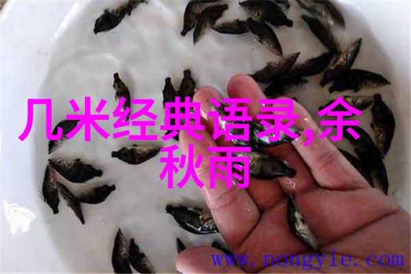 爱的宣言词