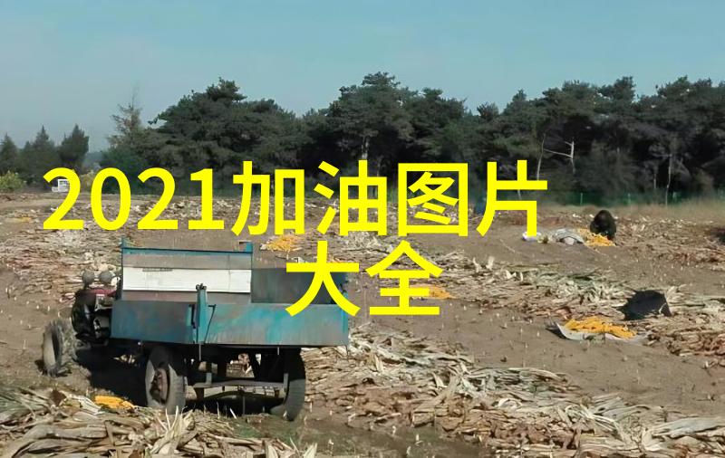 吕子乔经典语录你说这话是怎么想的