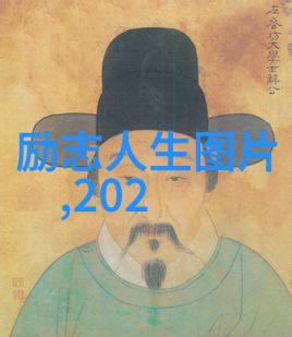 逆袭之星从街头巷尾到世界舞台的励志传奇