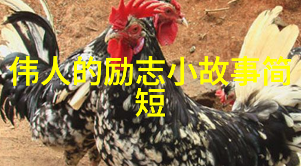 成功秘诀25个改变命运的名言警句