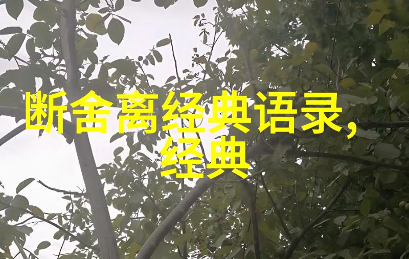 爱情语录24则