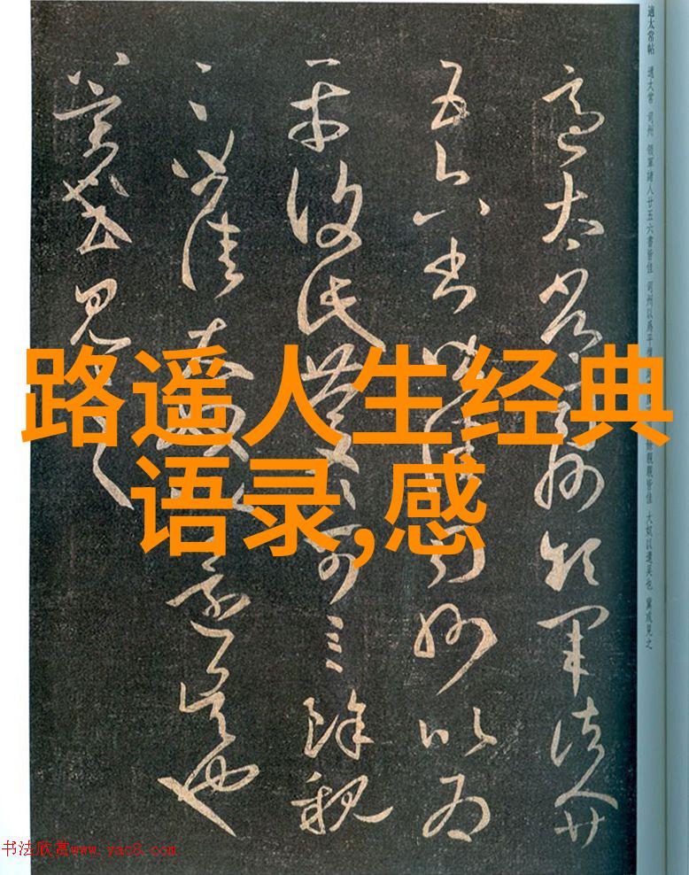 逆袭的力量张小明从农村到硅谷的传奇