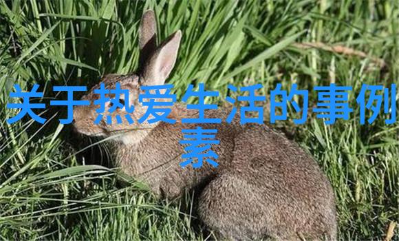 职场奋斗的智慧激励名言助你攀登成功峰巅