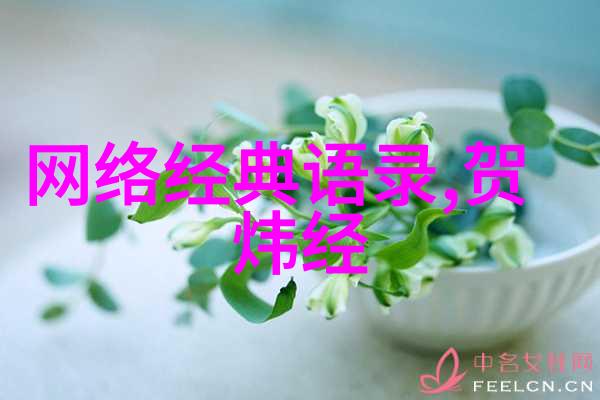 文学经典-张爱玲语录时间的碎片与情感的深渊