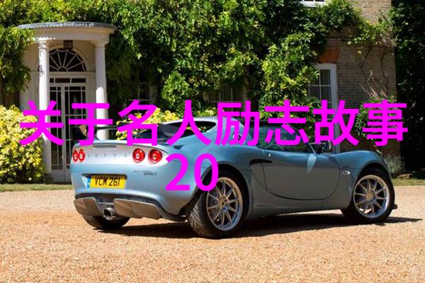 追逐梦想一位为理想奋斗者的故事