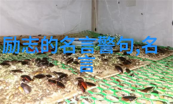 贺炜经典语录我的心灵导航