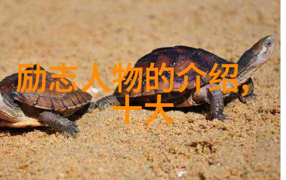 励志名言我的成功之路在于你我他