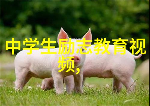 语言魔法师揭秘那些让人沉醉的心灵共鸣词句