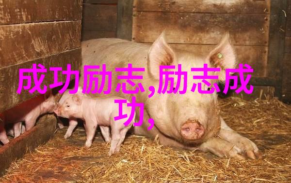 关于青春奋斗的素材事例 - 李明从穷小子到成功企业家的逆袭故事